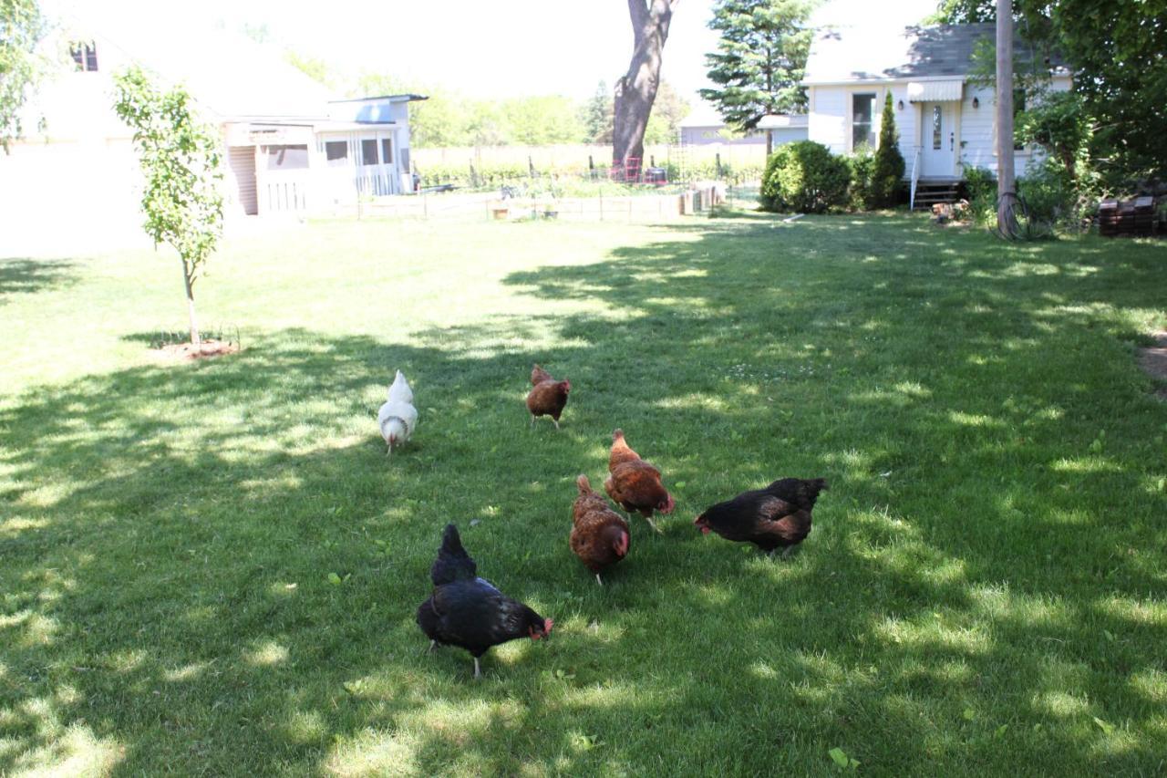 Green Oaks B&B Niagara-on-the-Lake ภายนอก รูปภาพ