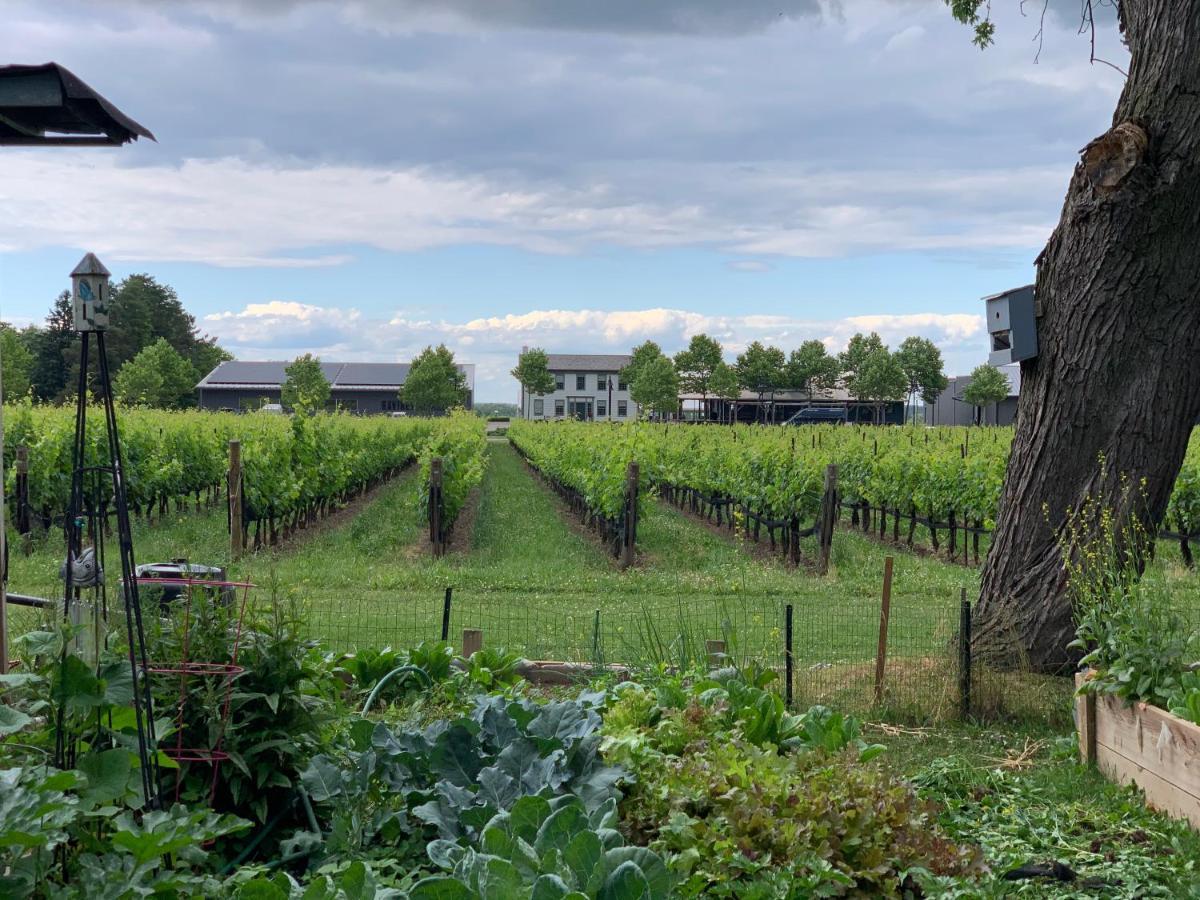 Green Oaks B&B Niagara-on-the-Lake ภายนอก รูปภาพ