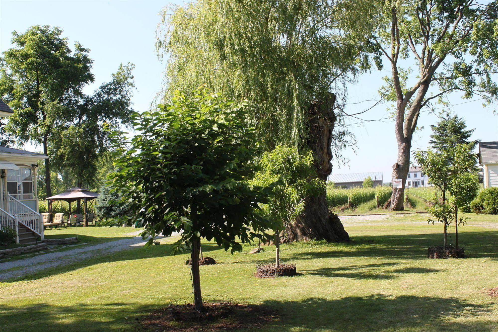 Green Oaks B&B Niagara-on-the-Lake ภายนอก รูปภาพ